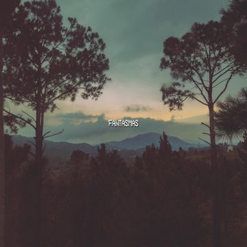 Looking in the Mirror-cover