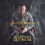 Y Vete Olvidando(Album Version)-cover