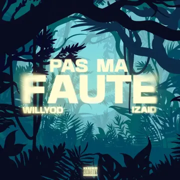 Pas ma faute-cover