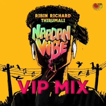 Naadan Vibe (Vip Mix)-cover