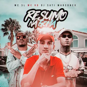 Resumo na Goma-cover