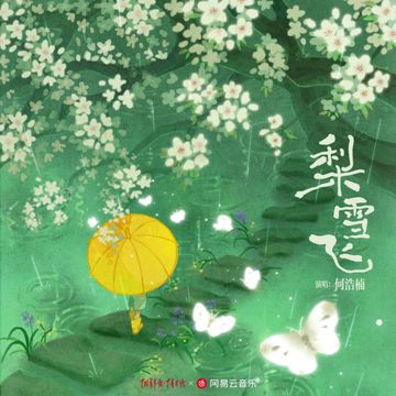 梨雪飞-cover