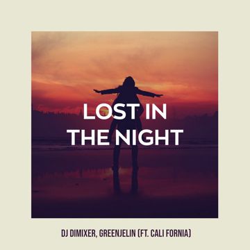 Lost in the Night-cover