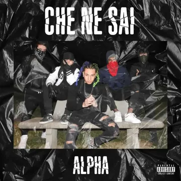 Che Ne Sai-cover