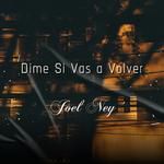 Dime Si Tu Vas A Volver (feat. The Academy: Segunda Misión)-cover