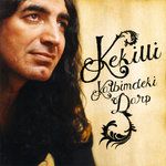 Ver Bana Düşlerimi-cover