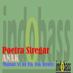 Anak(Mamae Remix)(Remix)-cover