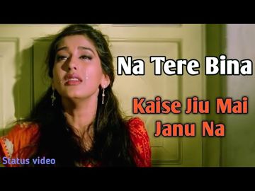 Na Tere Bina Kaise Jiu Main Janu Na (Sad)-cover