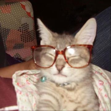 coveImg