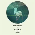 Sugar (Wild Culture vs. Karmin;Extended Mix)-cover