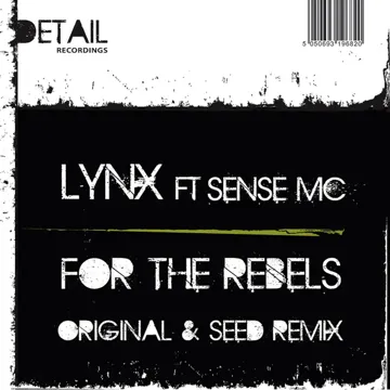 For The Rebels (Walkner Moestl Remix)-cover