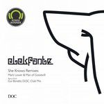 She Knows (Mark Lower & Man Of Goodwill Remix)(Mark Lower & Man Of Goodwill Remix)-cover