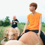 เมา - เด็กเลี้ยงควาย(เวอร์ชั่นลูกทุ่ง Expl-cover