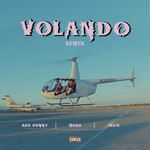 Volando-cover