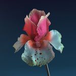 Numb & Getting Colder(Baauer Remix)-cover