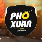 Phố Xuân (Remix)-cover