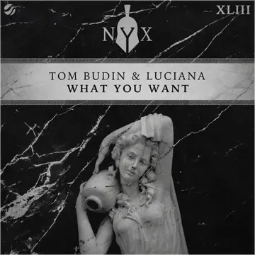 What You Want-cover