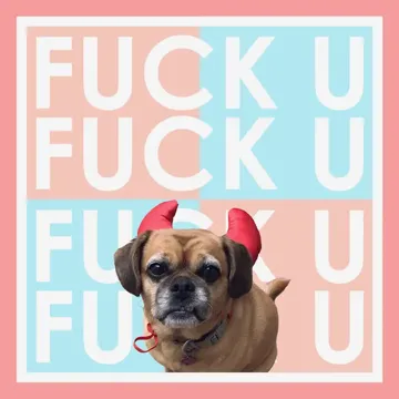 Fuck U-cover