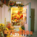 想送你一冰箱的花-cover