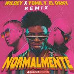 Normalmente Remix(with Yomil y El Dany)-cover