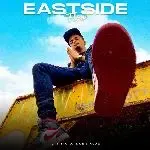 East Side Flow-cover