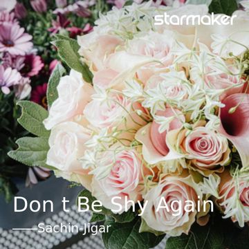 Don't Be Shy Again-cover