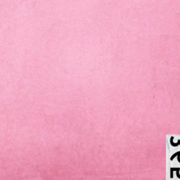 365-cover
