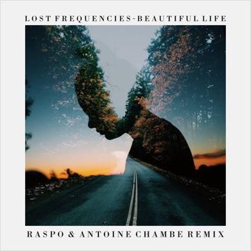 Beautiful Life (Raspo Remix)-cover