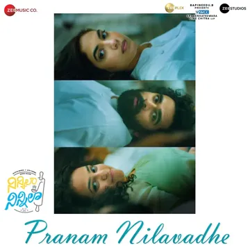 Pranam Nilavadhe (From "Ninnila Ninnila")-cover