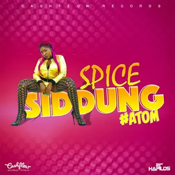 Siddung-cover