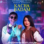 Kacha Badam(Haryanvi)-cover