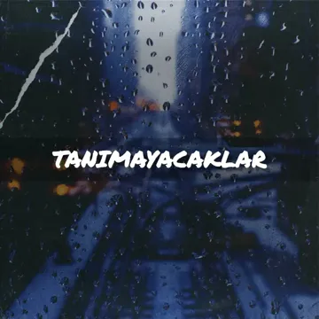 Tanımayacaklar-cover
