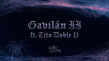 GAVILÁN II -cover
