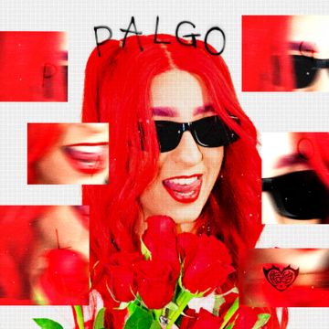 Palgo-cover
