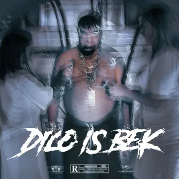 DILO is BEK-cover
