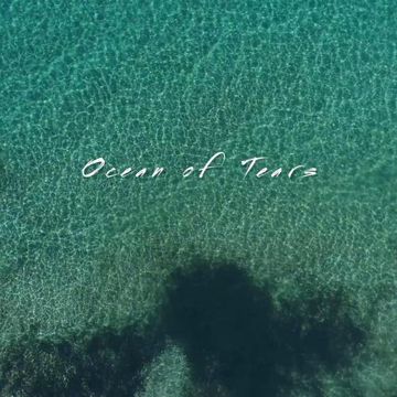 泪海-cover
