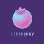 Blueberry-cover