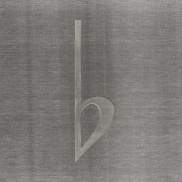 (b)illionaire-cover