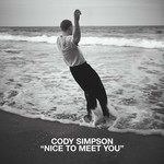 Nice to Meet You-cover