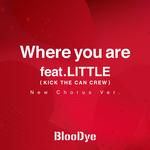 Where you are(New Chorus Ver.)-cover