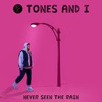 Never Seen The Rain-cover