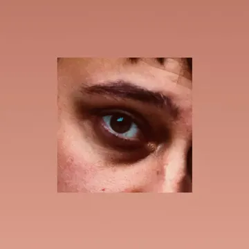 Genick-cover