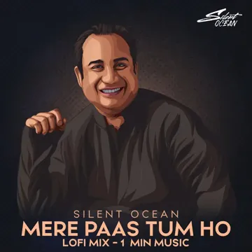 Mere Paas Tum Ho (1 Min Music) [Lofi Mix]-cover