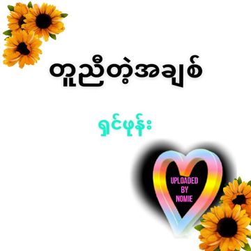 တူညီတဲ့အခ်စ္