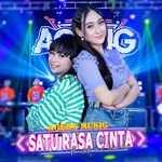 Satu Rasa Cinta-cover