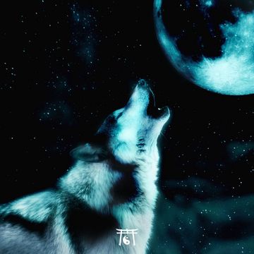 Howling at the Moon-cover
