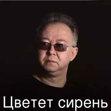 Цветет сирень-cover