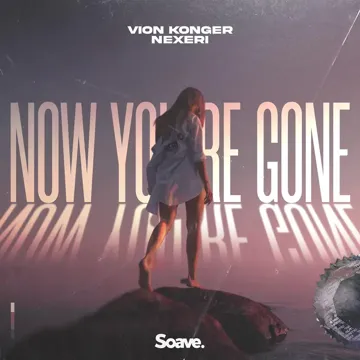 Now You're Gone-cover
