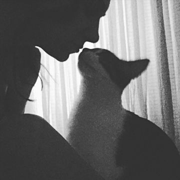 coveImg