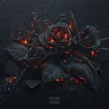 Sh!t-cover